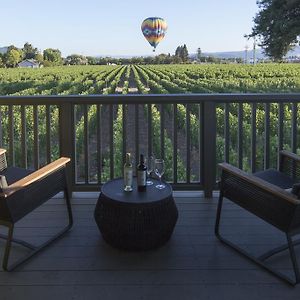 Vineyard King